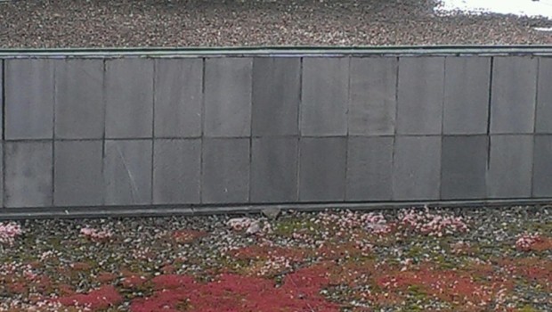 Aussichten die Zweite