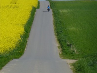Hohlkehlchen