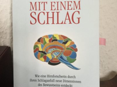 Rechte Hirnhälfte – linke Hirnhälfte