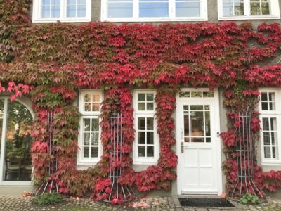Herbst-Haiku