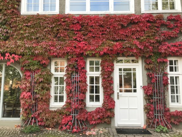 Herbst-Haiku