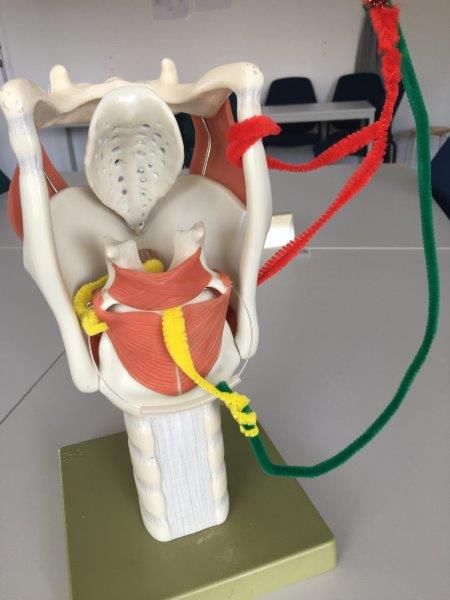 Hätten Sie es gewusst?
